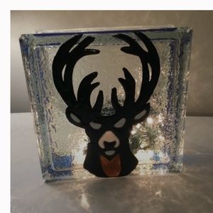 MILWAUKEE BUCKS Hand Crafted, Hand-Painted Light up Glass block with lights.NEW